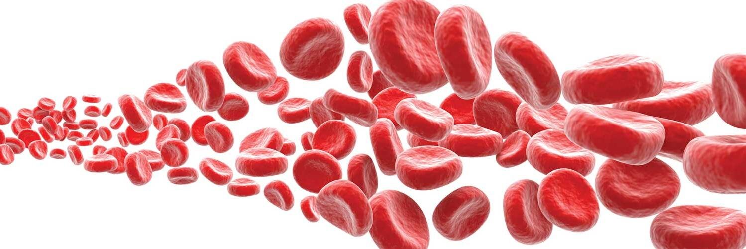 StemCellsNews's profile banner image