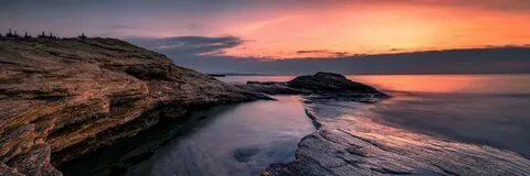 Ashleigh Fox banner