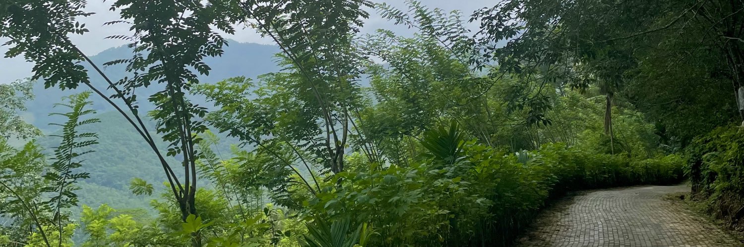 Nisal Mihiranga banner