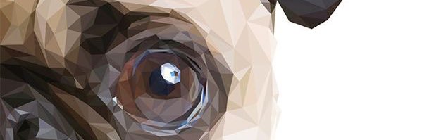 syg_spm's profile banner image
