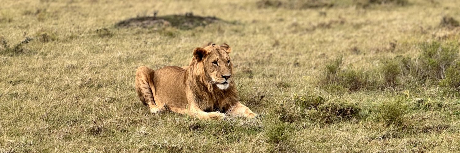 Charly Mwangi banner
