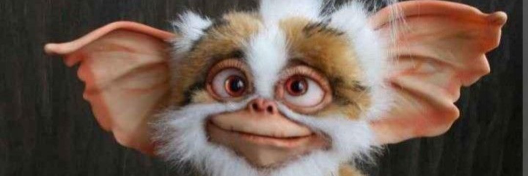 StillShorty's profile banner image