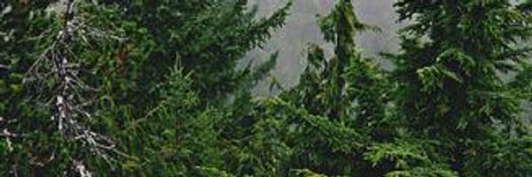 josephgier Profile Banner