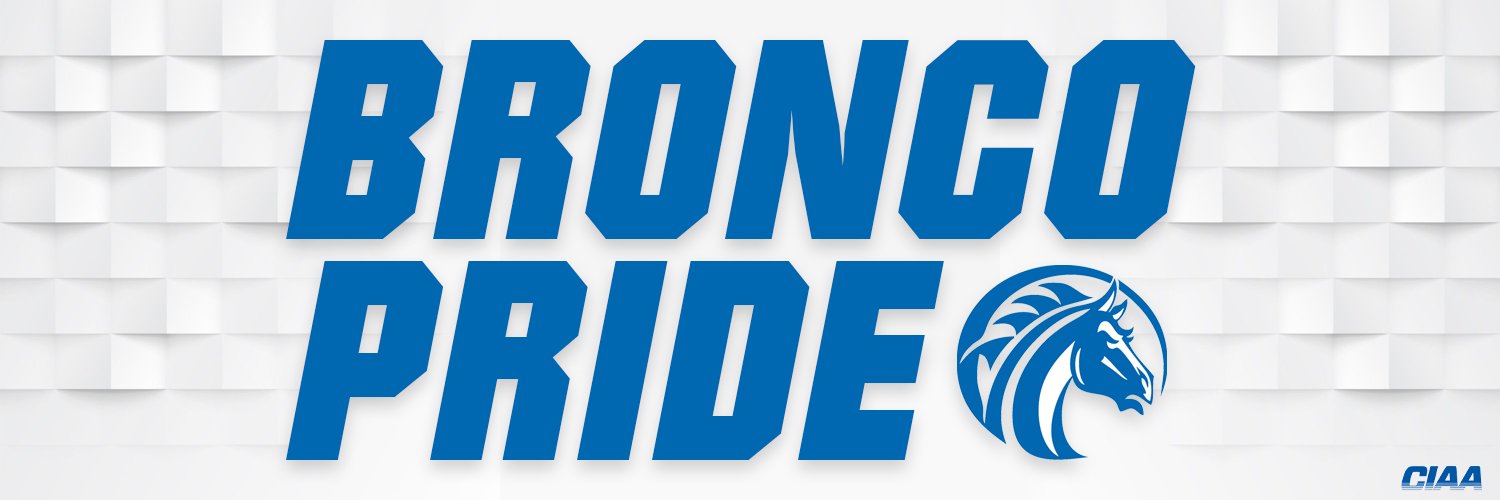 FSU Broncos banner