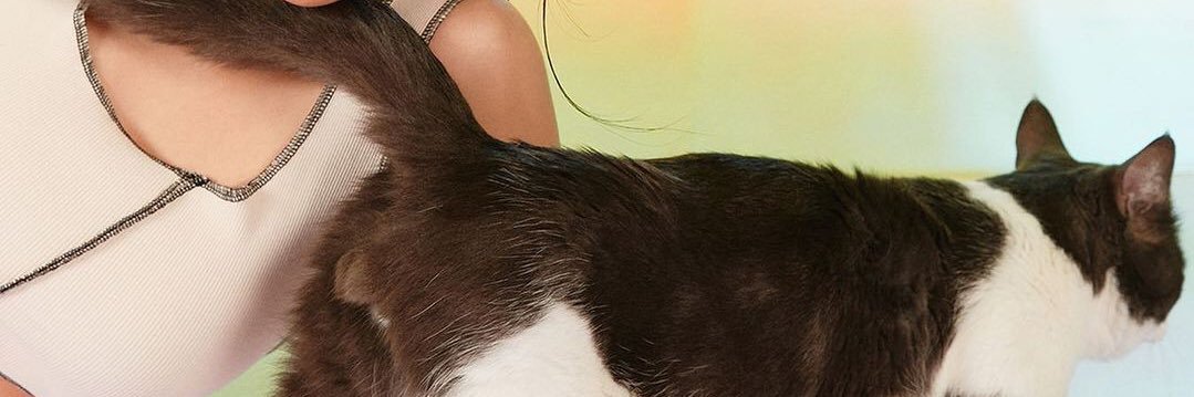 qwangko_'s profile banner image