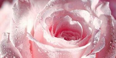 MariangelGe's profile banner image