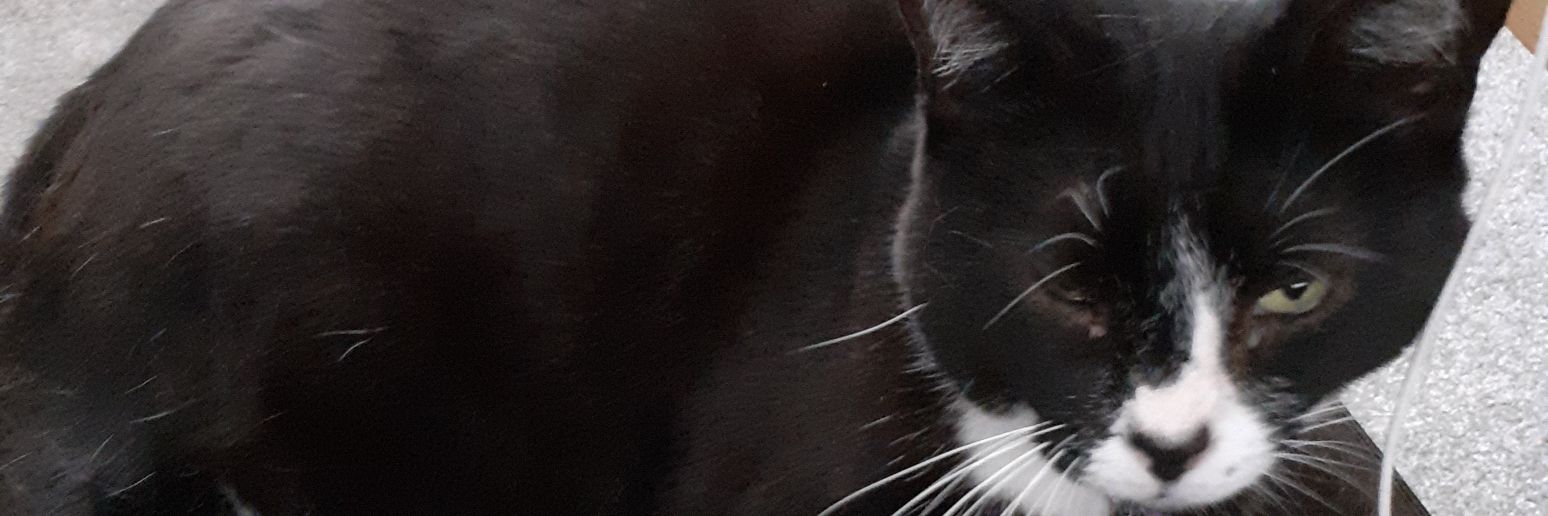jayneclaire23's profile banner image