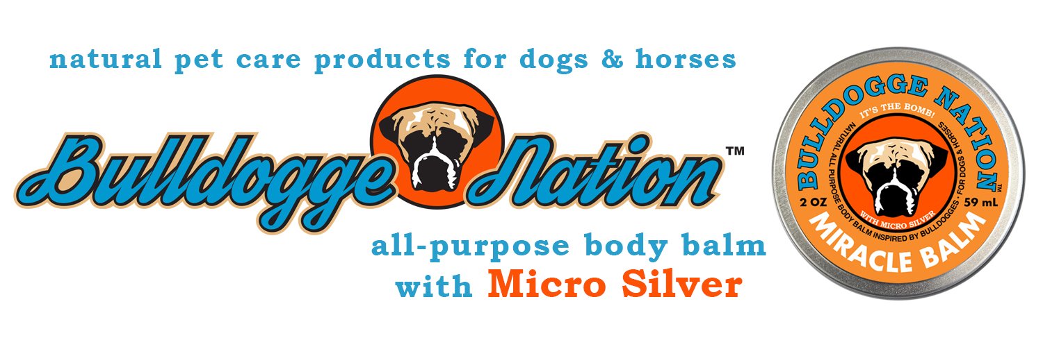 BulldoggeNation's profile banner image