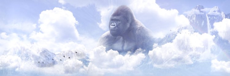 ohh_devv's profile banner image