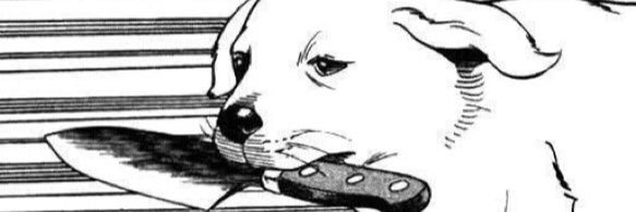 cmorran's profile banner image