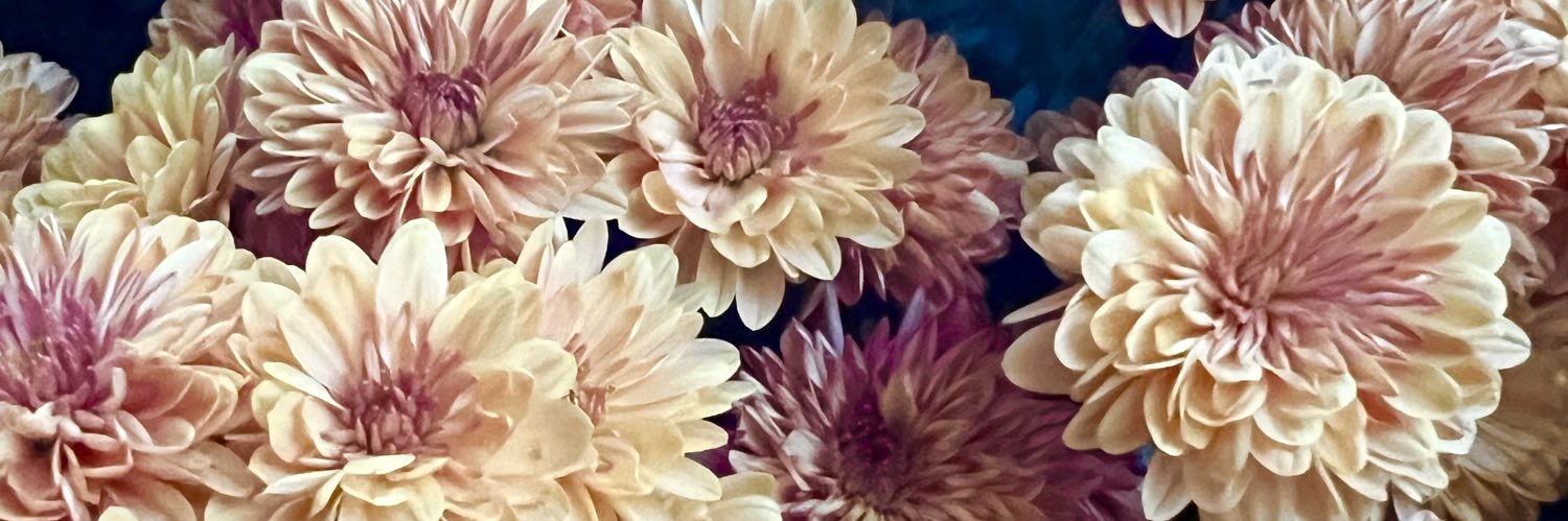 laceybethh's profile banner image