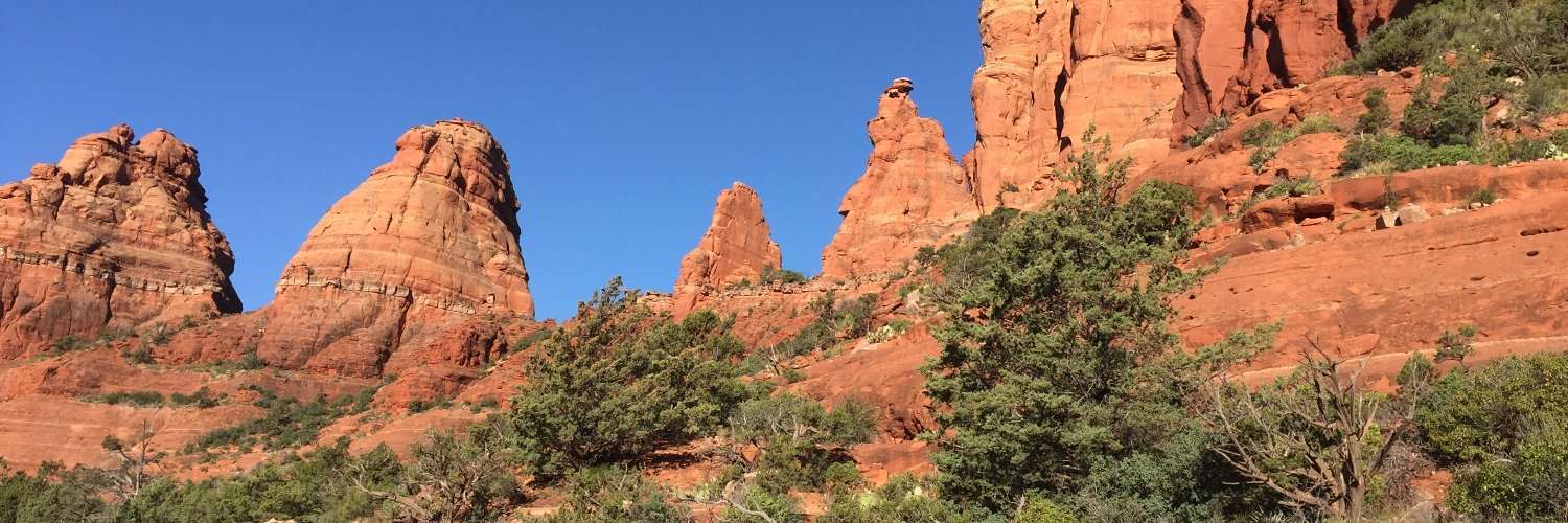 Gaston Gonzalez banner