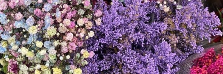 LokdlaColina's profile banner image