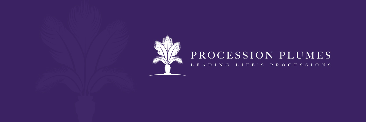 ProcessionPlume's profile banner image