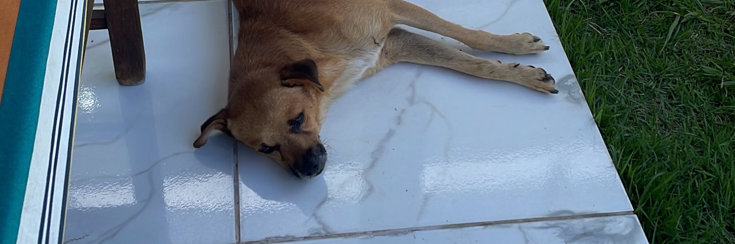 brunoogodooy's profile banner image