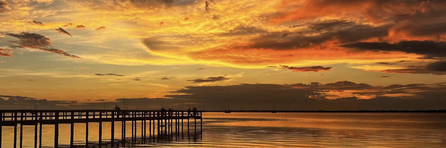 suncoastdreams's profile banner image