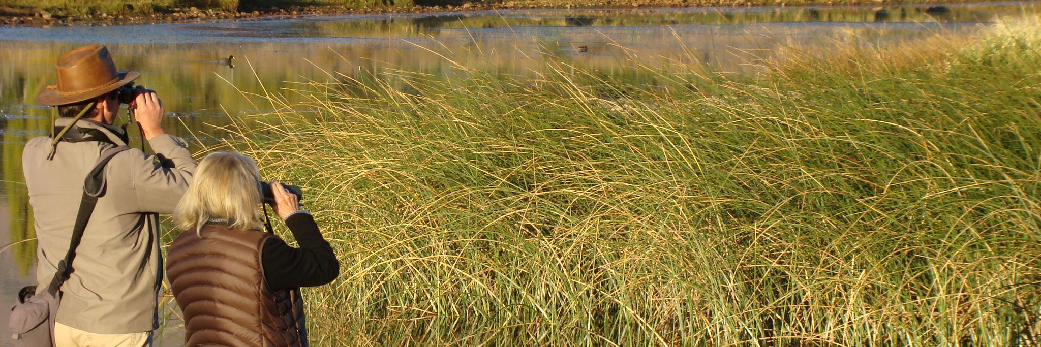 BDBirding's profile banner image