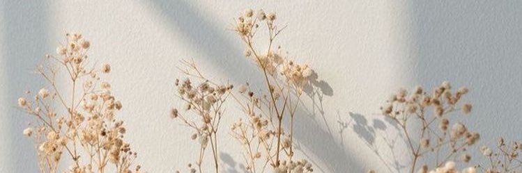 Em 🐰 banner