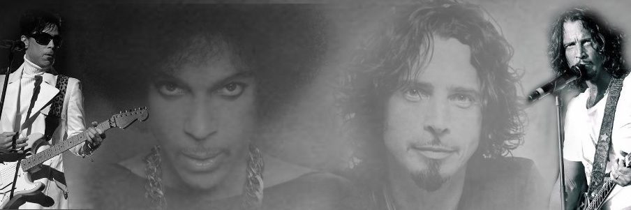 msconnie76's profile banner image