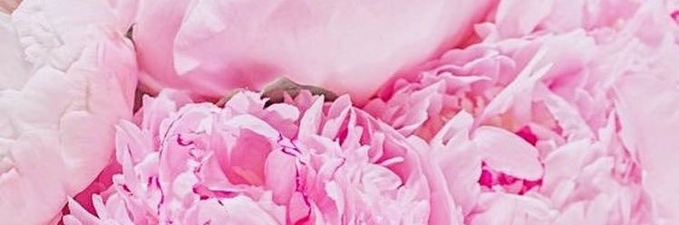 That_BrittCray's profile banner image