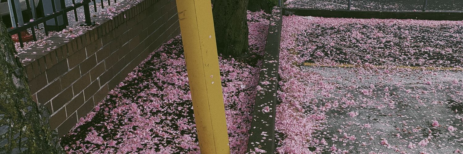 - banner