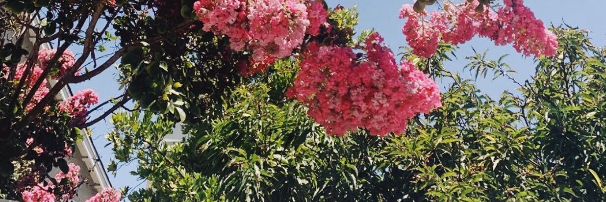 j0ann13_'s profile banner image