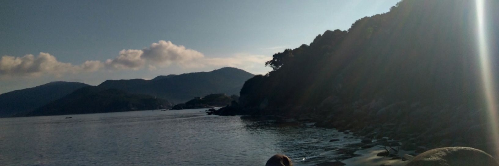 michel_bianc's profile banner image