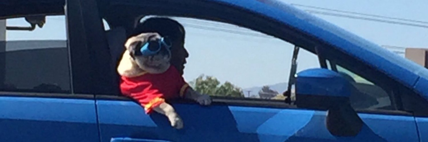 Stepherweezy's profile banner image