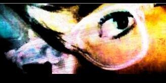 Dny_B's profile banner image