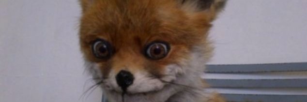 LeJuanpi's profile banner image
