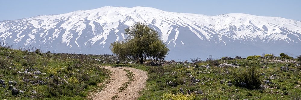 Pascal TORBEY 🇱🇧🇫🇷🇪🇺 banner