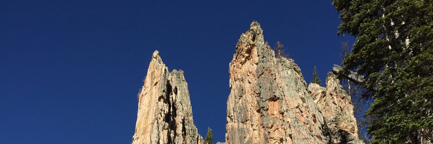 junglenick14's profile banner image
