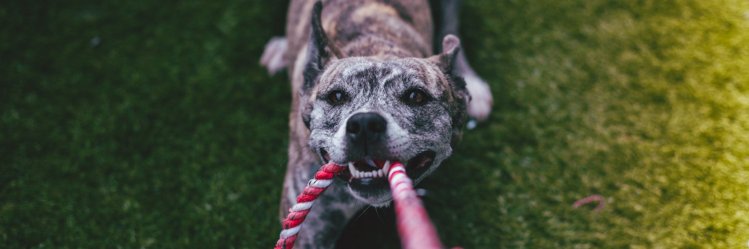 Ashley Baxter banner