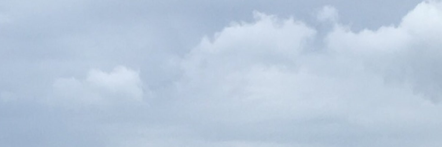 pedroquintaes's profile banner image