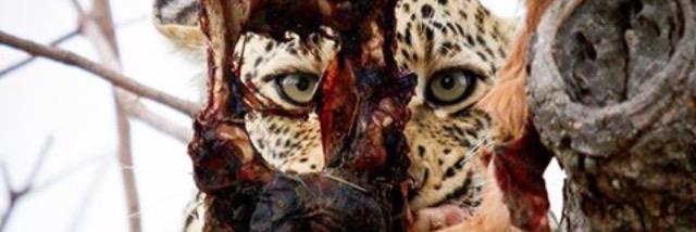VictorNgubeni's profile banner image