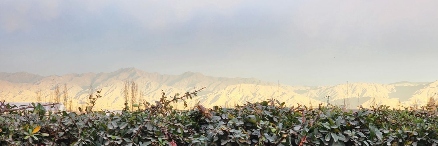 divavni's profile banner image