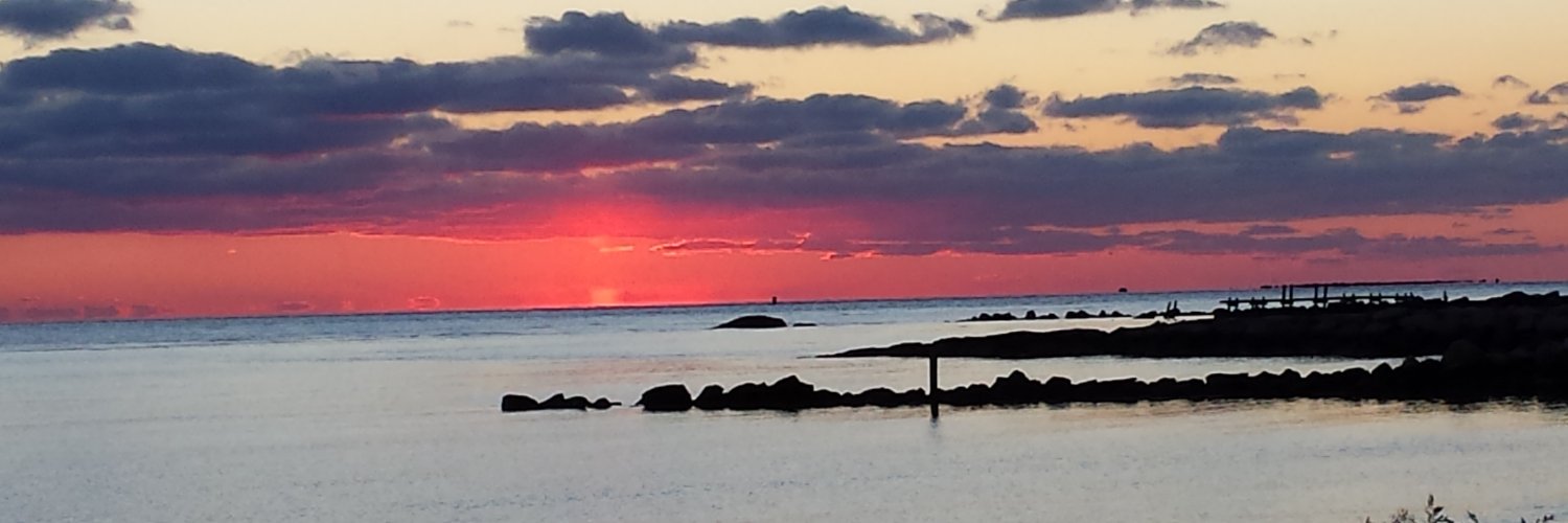 Bally Malone 🇺🇲🇺🇲🇺🇲 banner