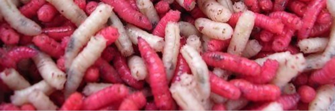 Cracking my joints banner