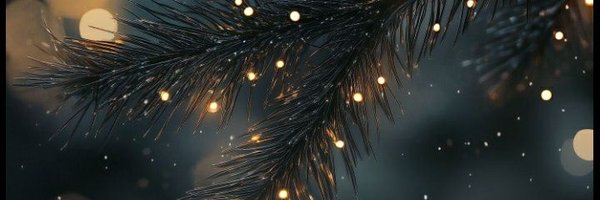 HeatherKindred Profile Banner