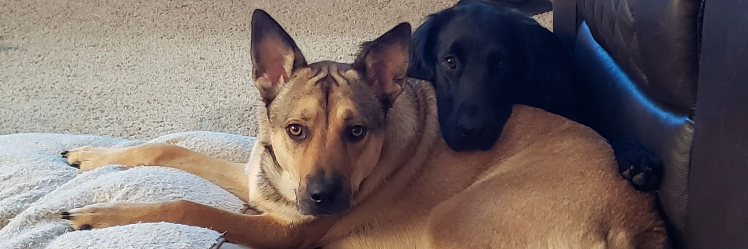 Mootl888's profile banner image