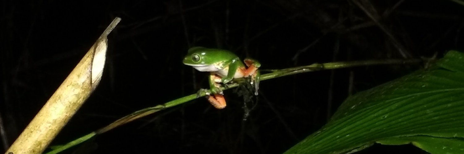 Faride Lamadrid banner