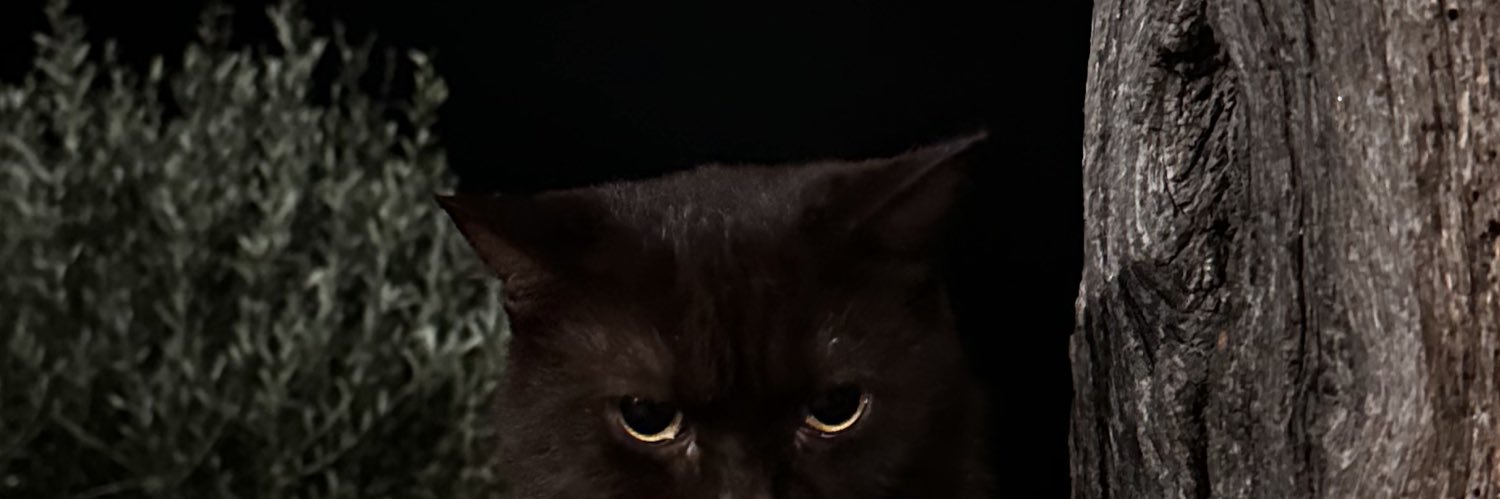 𝐦𝐣 banner