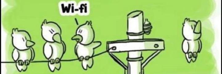 minovoto's profile banner image