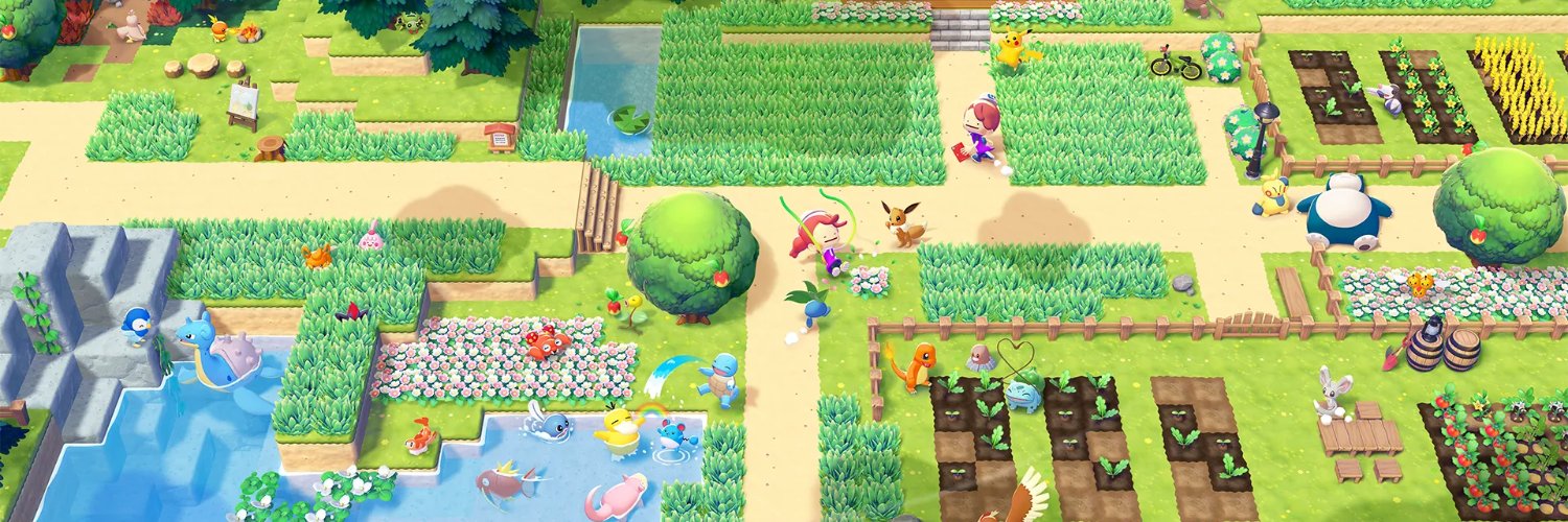 Pokémon Project banner