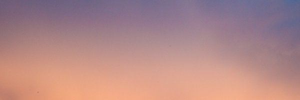 trisnasari Profile Banner