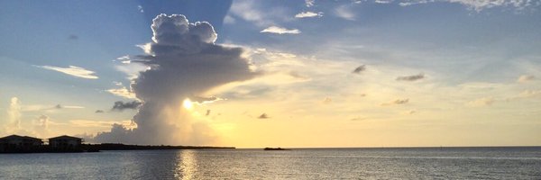 marksosa24 Profile Banner