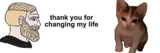 Incognito UBI Supporter banner