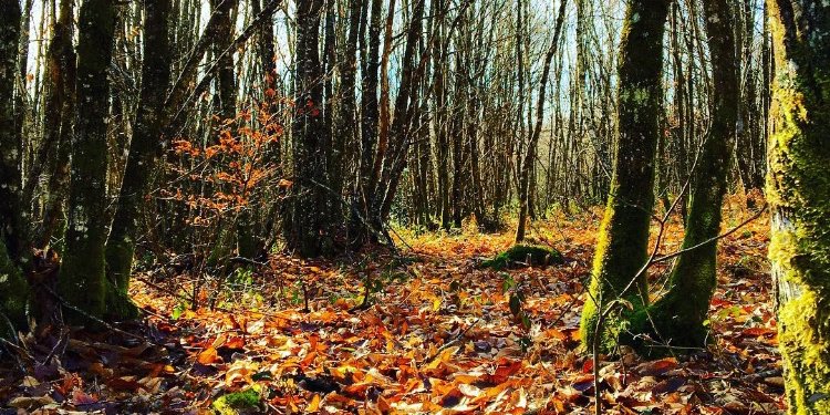 TheWomanPurpose's profile banner image
