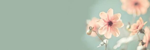 cruzlaura's profile banner image