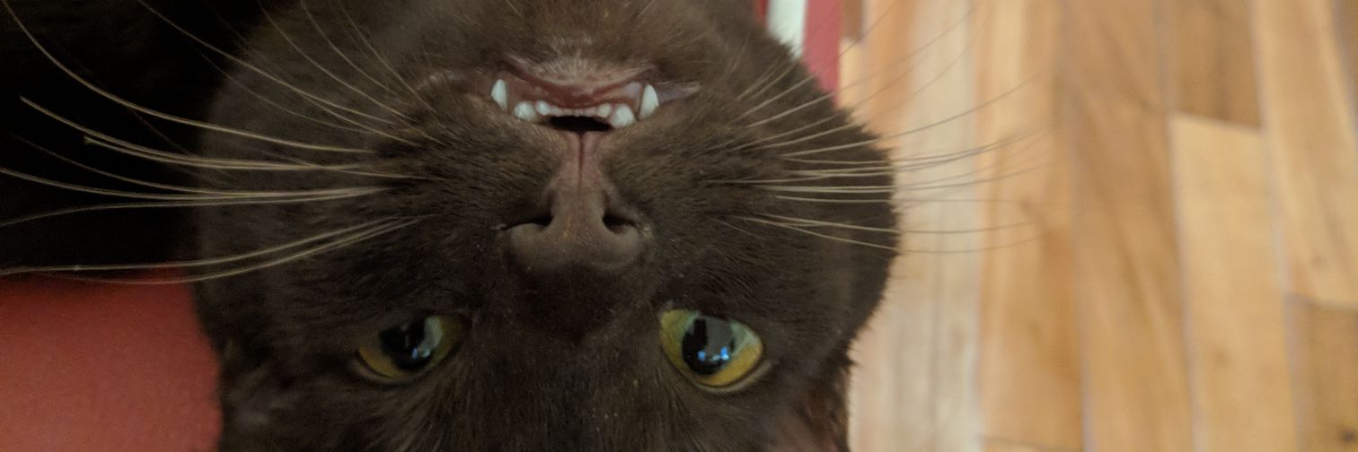 Joshua Hochner banner